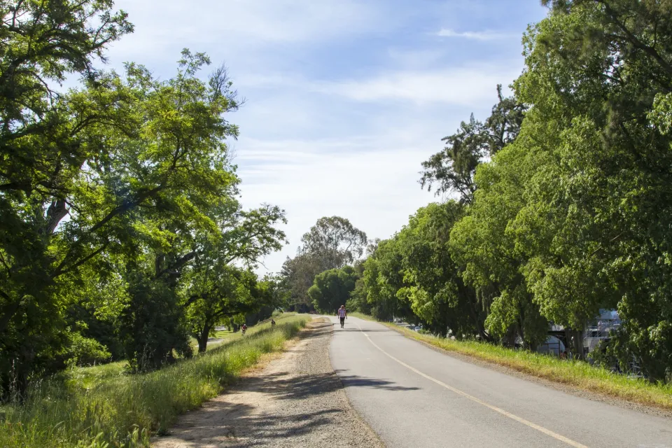 American River Bike Trail, Sacramento, CA
